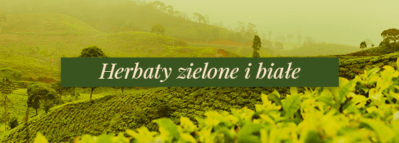 Herbaty zielone