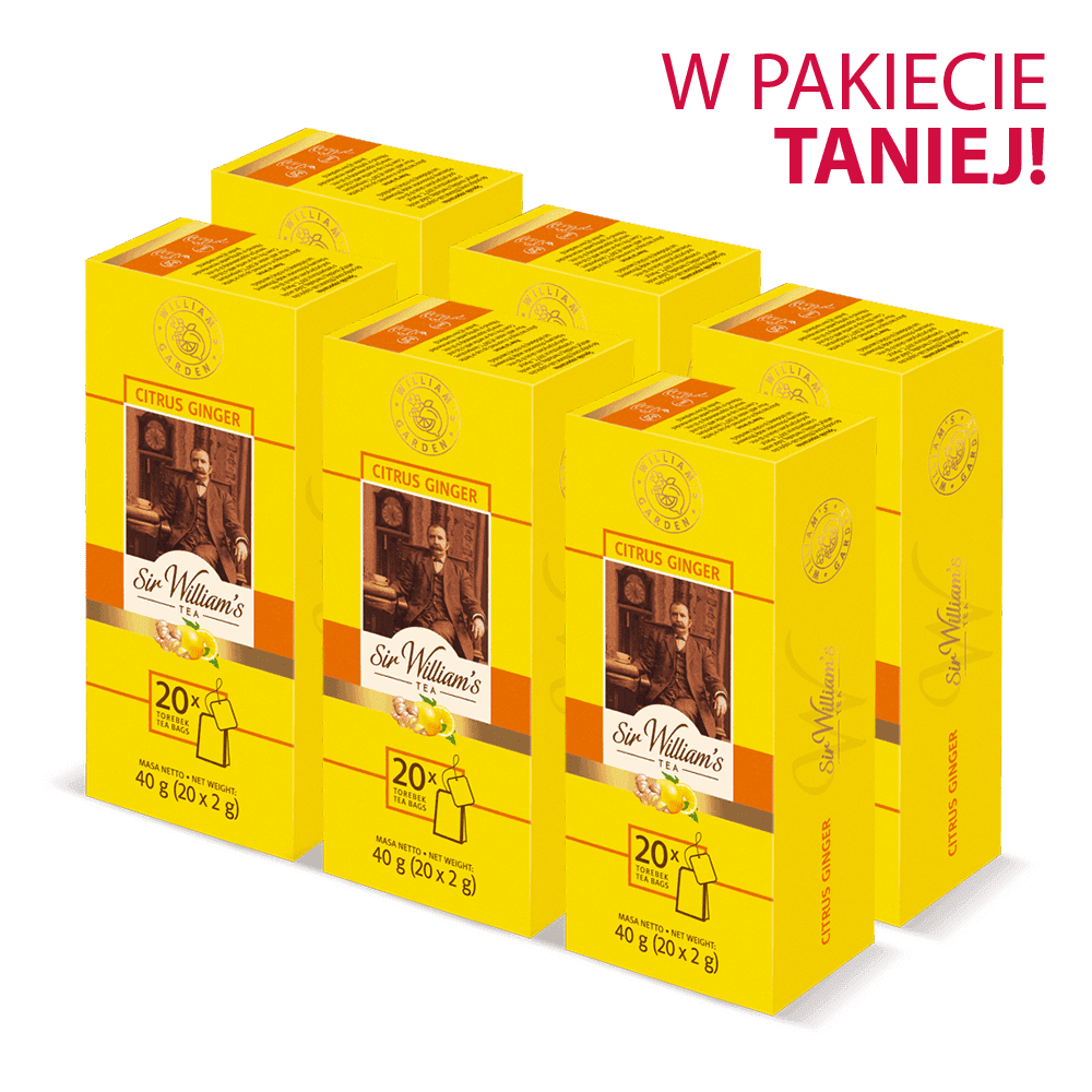 Pakiet 6x Owocowo-ziołowa Herbatka Sir William's Tea Citrus Ginger 20 Saszetek